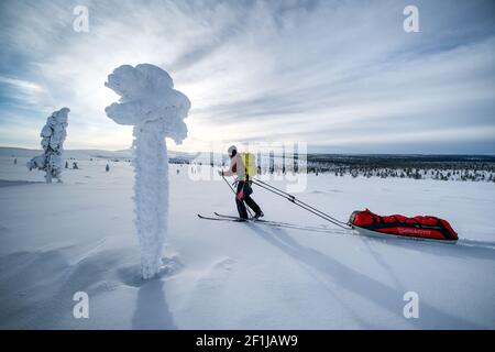 Ski de randonnée dans le parc national d'Urho Kekkonen, Sodankylä, Laponie, Finlande Banque D'Images