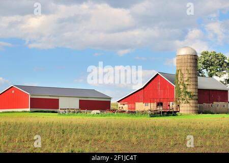 Burlington, Illinois, États-Unis. La grange rouge et le grand hangar offrent un cadre serein sur une ferme dans le nord-est de l'Illinois. Banque D'Images
