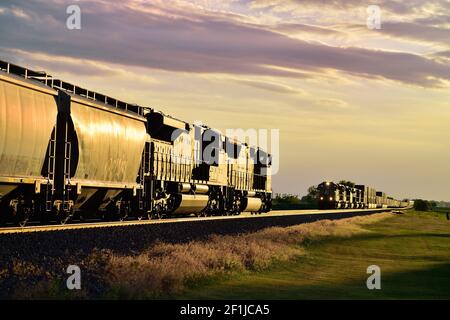 Maple Park, Illinois, États-Unis. Deux trains de marchandises de l'Union Pacific prennent une fonte d'or du soleil couchant alors qu'ils se rencontrent dans la prairie de l'Illinois. Banque D'Images