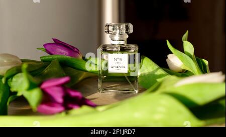 Le parfum Chanel numéro 5 se trouve près des fleurs de printemps de tulipes gros plan avec la lumière du soleil Banque D'Images