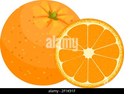 ensemble de demi-oranges fraîches mûres Illustration de Vecteur