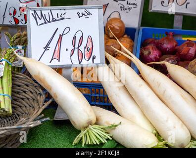 Racines de radis Mooli, Raphanus sativus var. Longipinnatus, en vente sur le marché au Royaume-Uni Banque D'Images