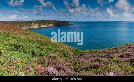 Vue panoramique horizontale sur la côte atlantique avec la lande lilas meadows au Cap Frehel en Bretagne dans Banque D'Images