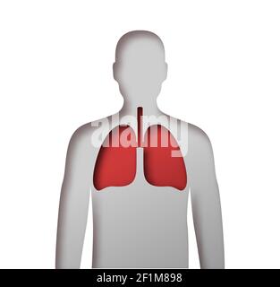 Corps humain coupé en papier avec un organe pulmonaire rouge à l'intérieur. Vue anatomique par rayons X de la silhouette de l'homme sur fond blanc isolé pour la médecine ou le problème de santé conc Illustration de Vecteur