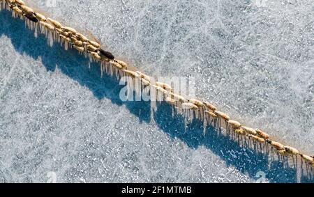 (210309) -- LHASSA, le 9 mars 2021 (Xinhua) -- une photo aérienne prise le 6 mars 2021 montre un troupeau de moutons marchant le long d'un chemin sûr sur le lac gelé Puma Yumco pendant leur migration annuelle dans la région autonome du Tibet du sud-ouest de la Chine. Chaque année, au plus froid, au village de Dowa, à 5,070 mètres au-dessus du niveau de la mer, des milliers de moutons traversent l'eau gelée jusqu'aux îles du lac Puma Yumco, l'un des plus hauts lacs du monde. Les bergers passent généralement un mois avec les animaux sur les îles, où l'herbe pousse à la taille. Lorsque le printemps approche, les troupeaux de moutons seront ramenés à leur for Banque D'Images