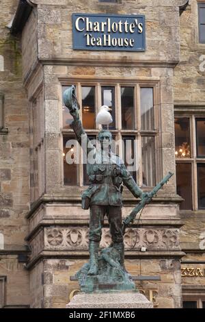 Un mouette perche sur la tête de la statue d'un soldat, mémorial de guerre dans le centre-ville de Truro, en Cornouailles Banque D'Images