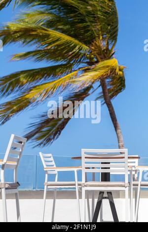 Des chaises blanches vides et une table sont sur une terrasse de plage par temps ensoleillé, le cocotier est sur un fond. Photo verticale Banque D'Images