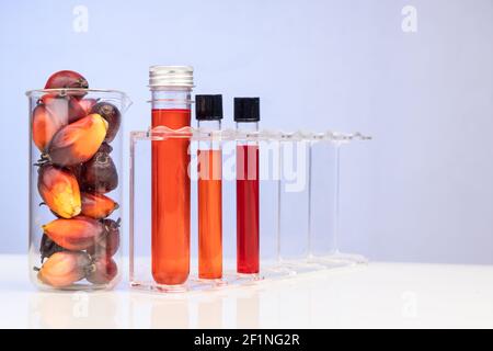 Huile de palme et fruits de couleur rouge non raffinés avec test de bécher tube en laboratoire Banque D'Images