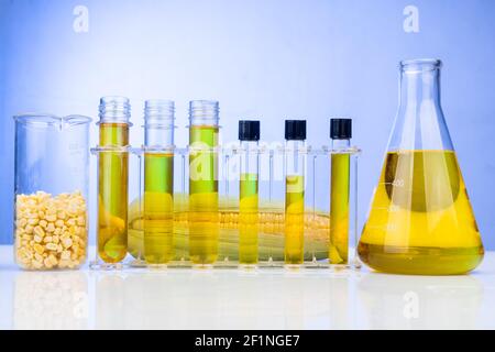 Biocarburant à base d'éthanol dérivé d'un labyrinthe de maïs avec tubes à essai à bécher en laboratoire sur fond bleu Banque D'Images