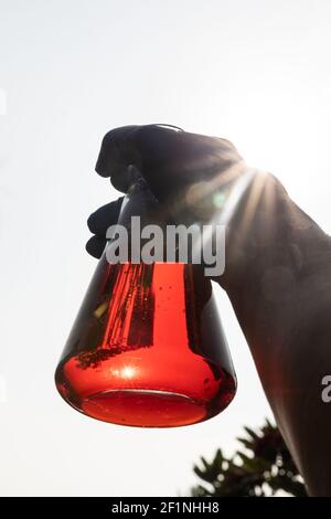 Main avec gants tenant le bol avec paume rouge non raffinée huile contre le ciel Banque D'Images