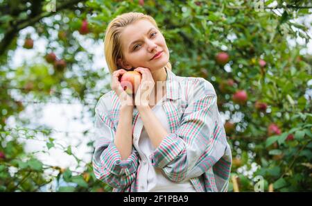 Fille style rustique recueillir jardin de récolte jour d'automne. Fermier assez blond avec l'appétit de pomme rouge. Concept de la saison de récolte. Une femme tient le fond de jardin de pomme. Produits de la ferme produits naturels biologiques. Banque D'Images