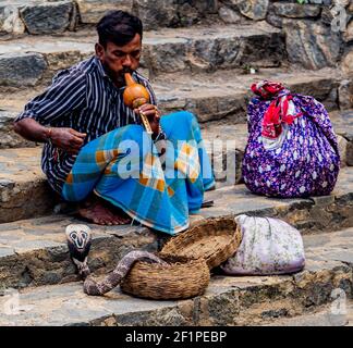 COLOMBO, SRI LANKA - 18 JANVIER 2014 : charmeur de serpent Cobra non identifié au temple de Gangaramaya à Colombo, Sri Lanka Banque D'Images