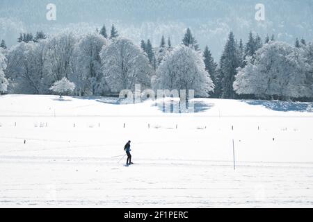 Paysage hivernal rêveur à les Prés d'Orvin, Jura suisse Banque D'Images