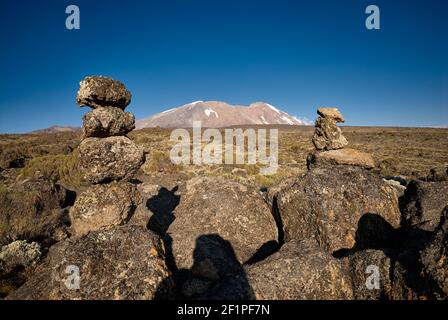 Vue du plateau de Shira au Mont Kilimanjaro, Tanzanie, Afrique Blick vom Shira plateau zum Mont Kilimanscharo, Tansania, Afrika Banque D'Images