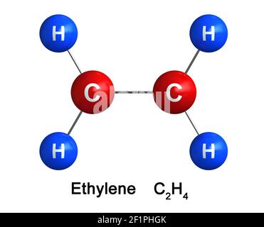 Rendu 3d de la structure moléculaire de l'éthylène isolé sur fond blanc. Les atomes sont représentés sous forme de sphères avec un code de couleur et de symbole chimique : h. Banque D'Images