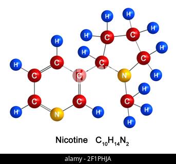 rendu 3d de la structure moléculaire de la nicotine isolée sur fond blanc. Les atomes sont représentés sous forme de sphères avec un code de couleur et de symbole chimique : h. Banque D'Images