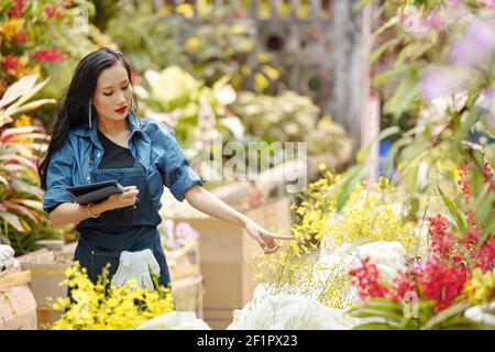 Jeune fleuriste femme travaillant avec des fleurs en serre Banque D'Images