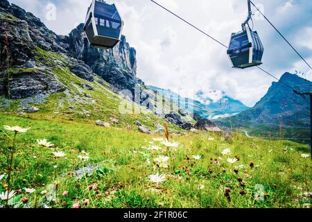 Téléphérique passant au-dessus d'une prairie alpine en pleine floraison Banque D'Images