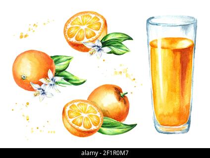 Kit de jus d'orange. Illustration aquarelle dessinée à la main, isolée sur fond blanc Banque D'Images