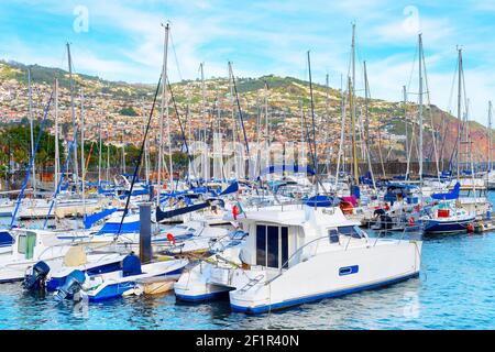 Marina, yachts, bateaux à moteur, Funchal, Madère Banque D'Images