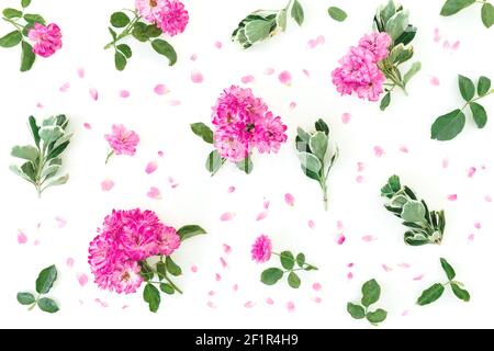 Motif floral de fleurs roses roses et de feuilles vertes sur fond blanc. Flat Lay, vue de dessus Banque D'Images
