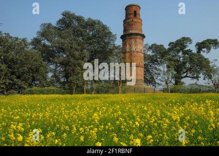 Firoz Minar ruines de ce qui était la capitale des Nawabs musulmans du Bengale dans les XIIIe à XVIe siècles à Gour, Bengale-Occidental, Inde. Banque D'Images