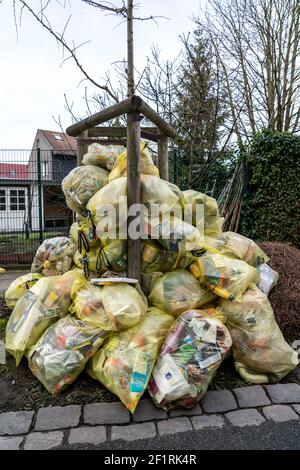 Sacs jaunes, empilés dans une rue résidentielle, par un arbre, attendant d'être ramassés par une société de gestion des déchets, déchets ménagers recyclables, partie de t Banque D'Images