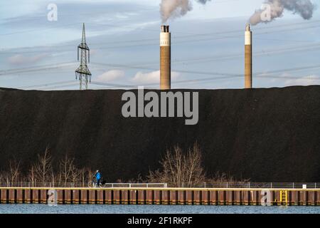 Décharge de charbon, réserve de charbon, centrale de charbon, pour la centrale combinée de chaleur et d'énergie STEAG à Herne, dans les cheminées d'arrière-plan de l'AGR Abflentso Banque D'Images