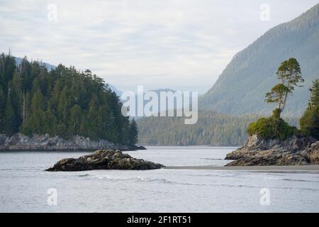 Arbres et rochers à Tonquin Beach Banque D'Images