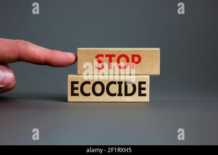 Symbole d'arrêt de l'ecocide. Les blocs en bois avec des mots arrêtent l'ecocide. Main d'homme d'affaires. Magnifique arrière-plan gris, espace de copie. Affaires, écologique et stop ECO Banque D'Images