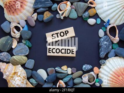 Symbole d'arrêt de l'ecocide. Les blocs en bois avec des mots arrêtent l'ecocide. Coquillages et pierres de mer. Magnifique arrière-plan gris, espace de copie. Affaires, écologique et s Banque D'Images