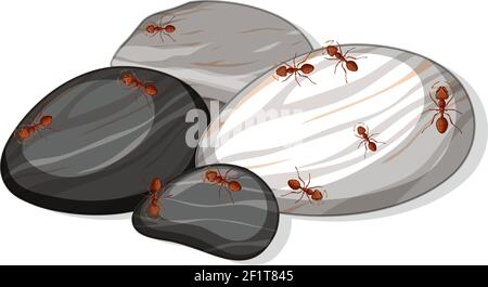 Vue de dessus de nombreux fourmis sur des pierres feuille isolée illustration Illustration de Vecteur