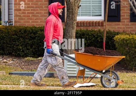 Clarksburg, MD, États-Unis 03-03-3021: Un latino avec une barbe de goatee portant un sweat à capuche rouge, un pantalon de camouflage et des bottes de travail porte une brouette avec Banque D'Images