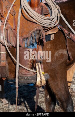 États-Unis, Colorado, comté de Custer, Westcliffe, Music Meadows Ranch. Détail de la main de ranch femelle dans une tenue de ranch typique de l'Ouest. Modèle validé. Banque D'Images