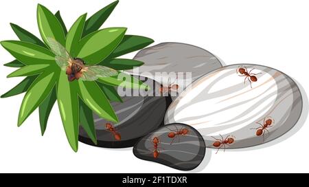 Vue de dessus de nombreux fourmis sur des pierres feuille isolée illustration Illustration de Vecteur