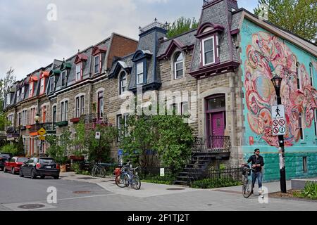 Quartier résidentiel avec maisons en architecture variée, plateau Mont-Royal; Montréal, Canada province, Québec. Banque D'Images