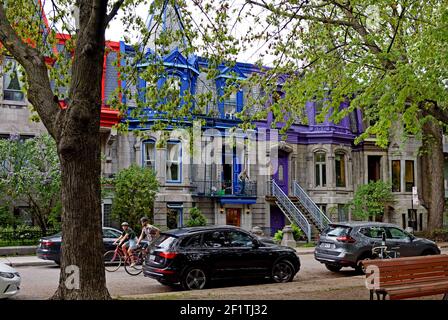 Quartier résidentiel avec maisons en architecture variée, plateau Mont-Royal; Montréal, Canada province, Québec. Banque D'Images