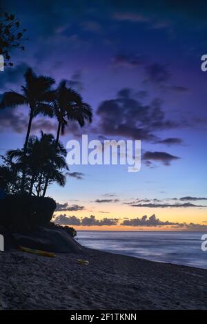 Coucher de soleil spectaculaire à Sunset Beach, North Shore, avec des palmiers silhouettés le long de la côte idyllique et de la plage de sable, Oahu, Honolulu, Hawaii, États-Unis Banque D'Images