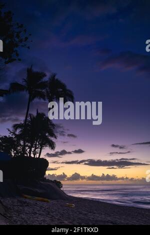 Coucher de soleil spectaculaire à Sunset Beach, North Shore, avec des palmiers silhouettés le long de la côte idyllique et de la plage de sable, Oahu, Honolulu, Hawaii, États-Unis Banque D'Images