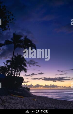 Coucher de soleil spectaculaire à Sunset Beach, North Shore, avec des palmiers silhouettés le long de la côte idyllique et de la plage de sable, Oahu, Honolulu, Hawaii, États-Unis Banque D'Images