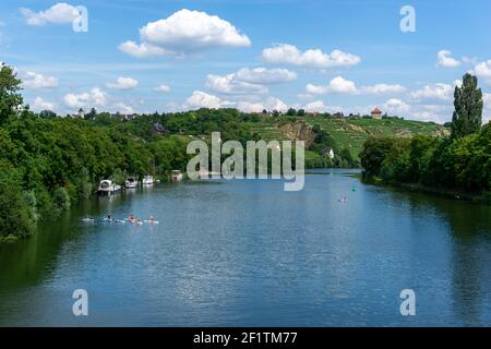 Cours de paddleboard sur le fleuve Neckar à Stuttgart en été Banque D'Images