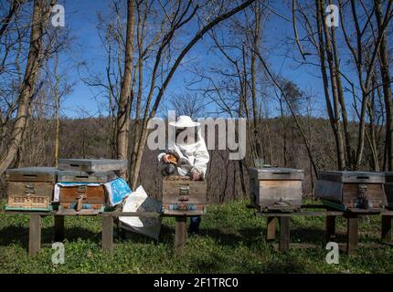 Istanbul, Turquie. 5 mars 2021. Ahmet CAN, apiculteur et chef de la coopérative de développement agricole de Sile Beekeepers, travaille dans un apiaire de Sile, un quartier isolé d'Istanbul, en Turquie, le 5 mars 2021. Le nombre de ruches dans tout le pays est passé de 5.6 millions en 2010 à 8 millions en 2019, et la production de miel est passée de 81,000 à 109,000 tonnes, selon de récents rapports de presse. Credit: Osman Orsal/Xinhua/Alay Live News Banque D'Images