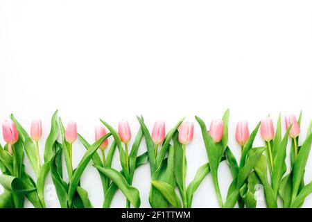 Les tulipes roses sur fond blanc. Vue de dessus Banque D'Images