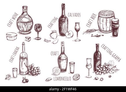 Ensemble de boissons artisanales avec différentes boissons alcoolisées et ingrédients pour la production illustration vectorielle isolée Illustration de Vecteur