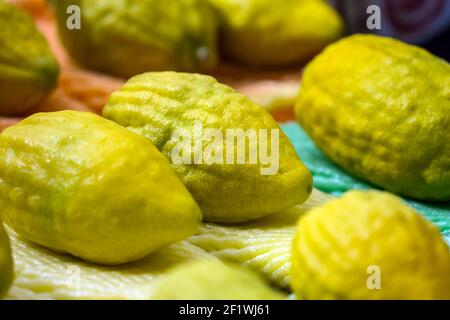 Vacances juives Sukkot Banque D'Images