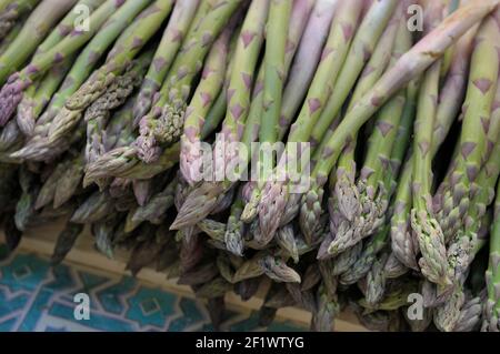 Asperges, marché alimentaire de la place Richelle, Aix-en-Provence, Provence-Alpes-Côte d'Azur, France Banque D'Images