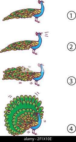 Dessin animé vectoriel Peacock déplier beau pied de queue ensemble Illustration de Vecteur