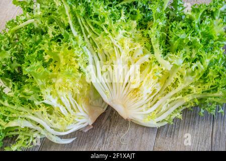 Salade curly tournant sur fond blanc