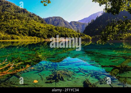 Five Flower Lake dans le parc national de Jiuzhaigou, au nord de la province du Sichuan, en Chine Banque D'Images