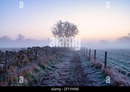 Sentier public dans la campagne de l'oxfordshire, une région glacieuse. Crawley, Oxfordshire, Angleterre Banque D'Images